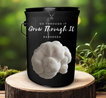 Encouragement And Resilience Lion's Mane Grow Kit Gift, 2 of 2