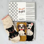 Playful Puppy Box Of Socks, thumbnail 1 of 5