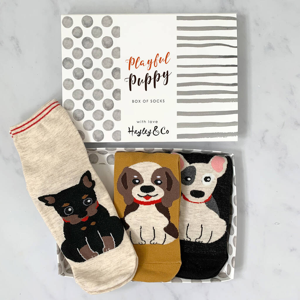 Playful Puppy Box Of Socks, 1 of 5