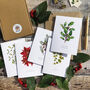 Christmas Botanical Note Card Set, thumbnail 3 of 5