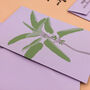 Illustrated Botanical Card With Sage Seeds, thumbnail 4 of 5