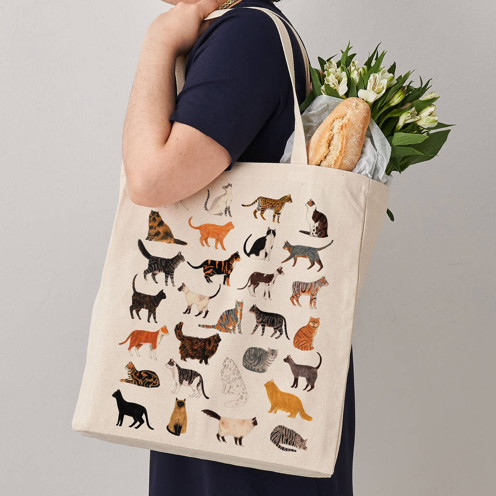 Cat Canvas Tote Bag By James Barker | notonthehighstreet.com