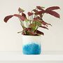 Handmade Felt Turquoise Ombre Plant Pot Cover, thumbnail 1 of 2