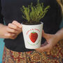 Personalised Strawberry Plant Pot With Seeds, thumbnail 1 of 2