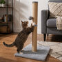 70cm Cat Scratching Post With Sisal Rope And Toy Ball, thumbnail 6 of 6
