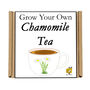 Gardening Gift. Grow Your Own Chamomile Tea, thumbnail 5 of 5