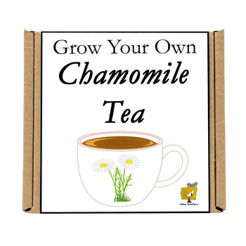 Gardening Gift. Grow Your Own Chamomile Tea, 5 of 5
