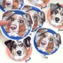 Personalised Pet Stickers, thumbnail 11 of 12