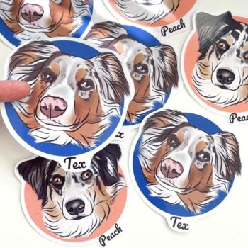 Personalised Pet Stickers, 11 of 12