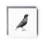 Starling Bird Hand Drawn Greeting Card, thumbnail 2 of 6