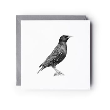 Starling Bird Hand Drawn Greeting Card, 2 of 6