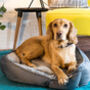 Luxury Soft Quilted Dog Bed, thumbnail 1 of 9
