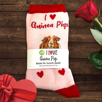I Love Guinea Pigs Socks Novelty Gift, 2 of 6