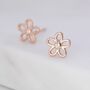 Sterling Silver Tiny Forget Me Not Flower Earrings, thumbnail 4 of 12