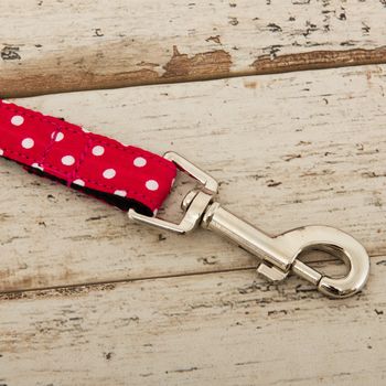 The York Red And White Spotted Dog Bow Tie And Lead Set, 4 of 6