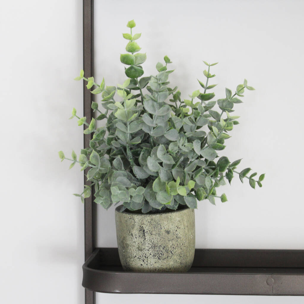 Artificial Potted Eucalyptus Plant By Lime Tree London