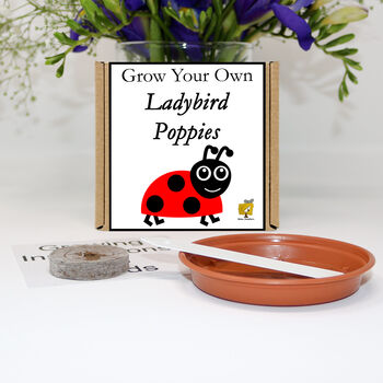 Gardening Gift. Grow Your Own Ladybird Poppies, 2 of 6