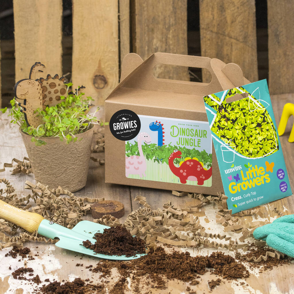 Dinosaur Jungle Seed Kit: Grow Your Own, Kids Party Bag, 1 of 8
