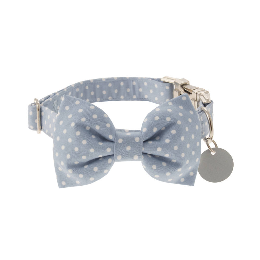 blue bow tie dog collar