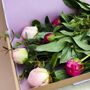 Letterbox Friendly Fresh Postal Peonies, thumbnail 1 of 4