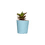 Concrete Pot Small With Cactus/ Succulent In Baby Blue, thumbnail 4 of 5