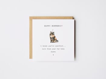 Personalised Birthday Fur Baby Tabby Card *Various Cat Breeds, 7 of 8