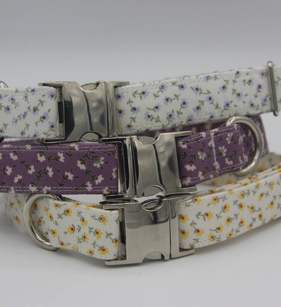 daisy dog accessories