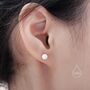 Sterling Silver Frosted Ball Stud Earrings, thumbnail 5 of 12