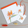 Gift Tags With Bird Of Paradise Illustration, thumbnail 2 of 4