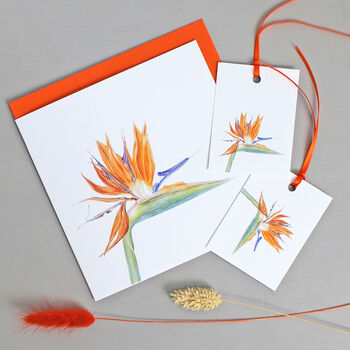 Gift Tags With Bird Of Paradise Illustration, 2 of 4