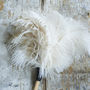 White Ostrich Feather Duster, thumbnail 1 of 3