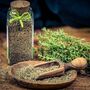 Herb English Thyme Three X 9cm Pots, thumbnail 4 of 5