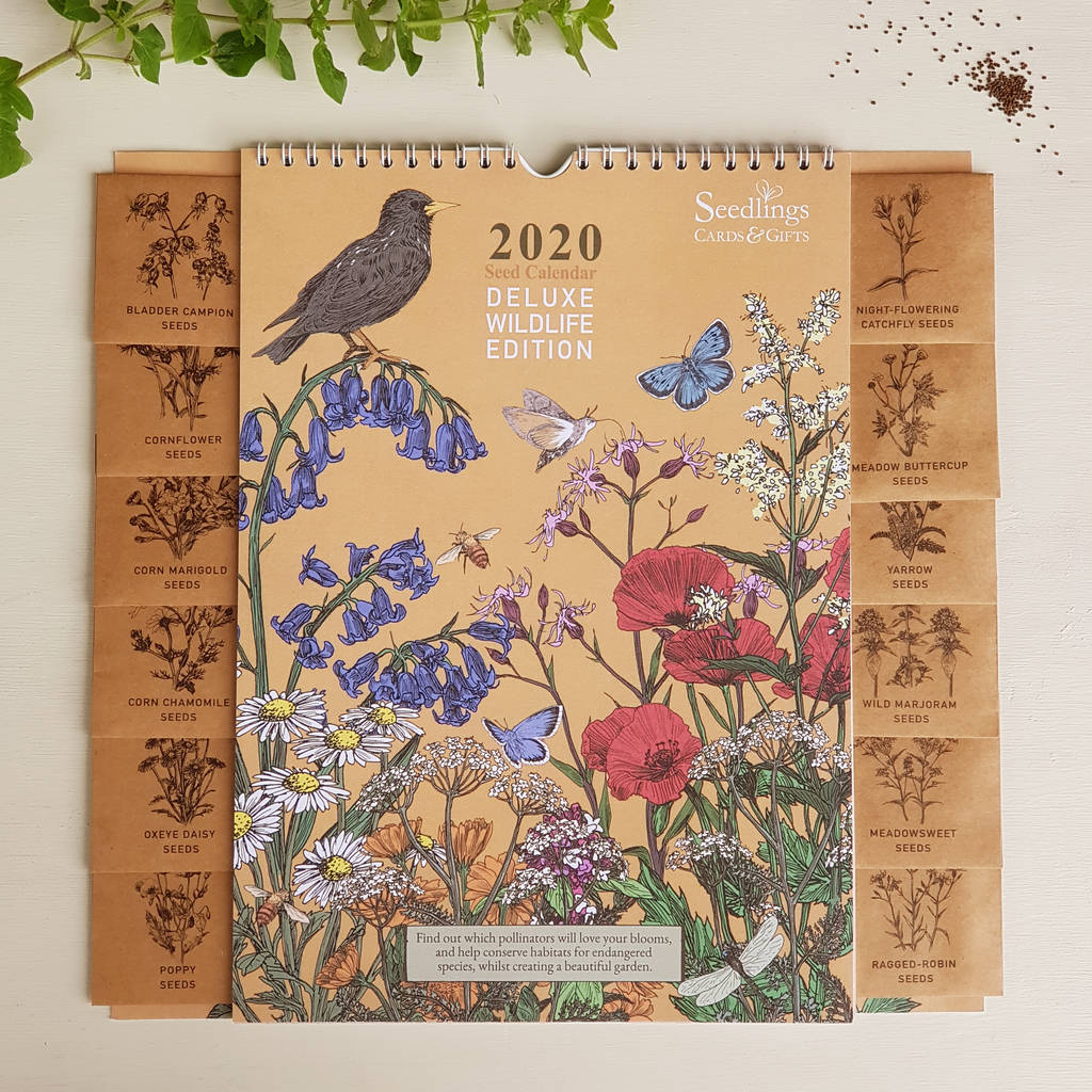 deluxe 2020 seed calendar wildlife edition by seedlings cards & gifts