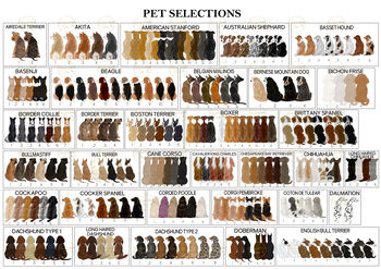 Personalised Pet Lover Home Print, 6 of 9