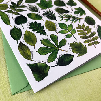 Tree Leaves Of Britain Art Blank Greeting Card, 9 of 12