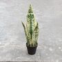 Artificial Potted Snake Plant, thumbnail 2 of 4