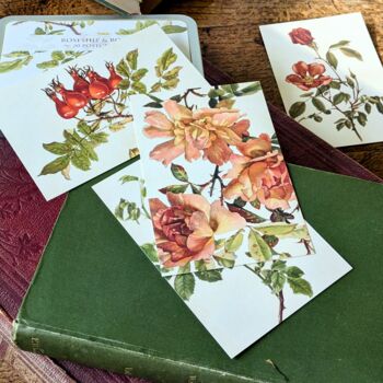 Nostalgic Floral Botanical Postcards In A Tin | 20 Pcs, 6 of 12