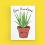 Aloe Handsome Funny Valentine Or Birthday Card, thumbnail 2 of 3