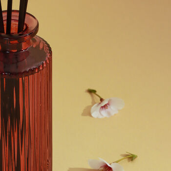 G Decor Sakura Blossom Reed Diffuser With Gift Box, 3 of 4
