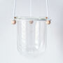 Orla, Hanging Glass Planter, Ideal For Orchids, thumbnail 9 of 12