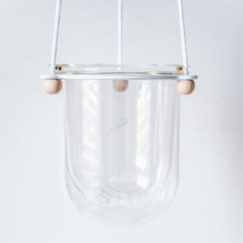 Orla, Hanging Glass Planter, Ideal For Orchids, 9 of 12