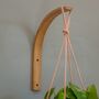 Wooden Wall Bracket Plant Hanger / Light Holder, thumbnail 1 of 8
