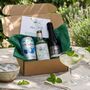 Make Your Own Hugo Spritz Kit: Creates Four Drinks, thumbnail 1 of 5