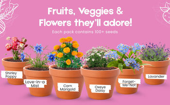 Personalised Wild Meadow Seedsticks® Gift Pack, 3 of 5