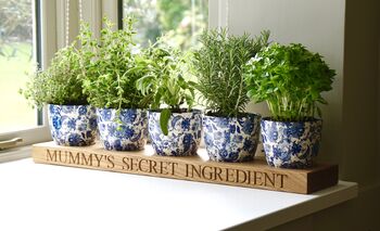Personalised Indoor Herb Planter, 2 of 5