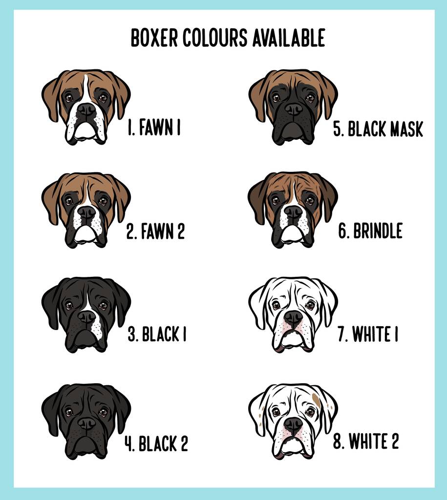 Personalised Boxer ID Tag By Digi Doggo