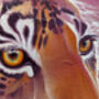 Tiger Materializing, thumbnail 5 of 11
