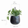 Hanging Planter With Handle 'Sinduri', thumbnail 3 of 5