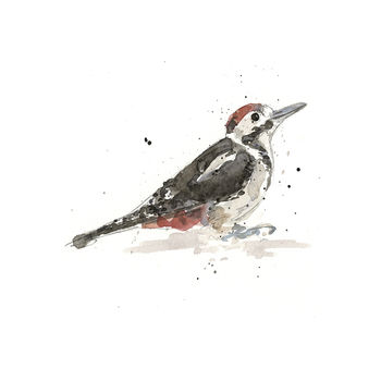 Limited Edition, Garden Bird Print, Spotted Woodpecker, 2 of 3