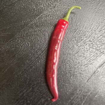 Large Artificial Red Chilli Pepper, 3 of 3